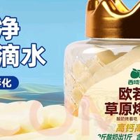 高钙高蛋白的内蒙烤酸奶体验