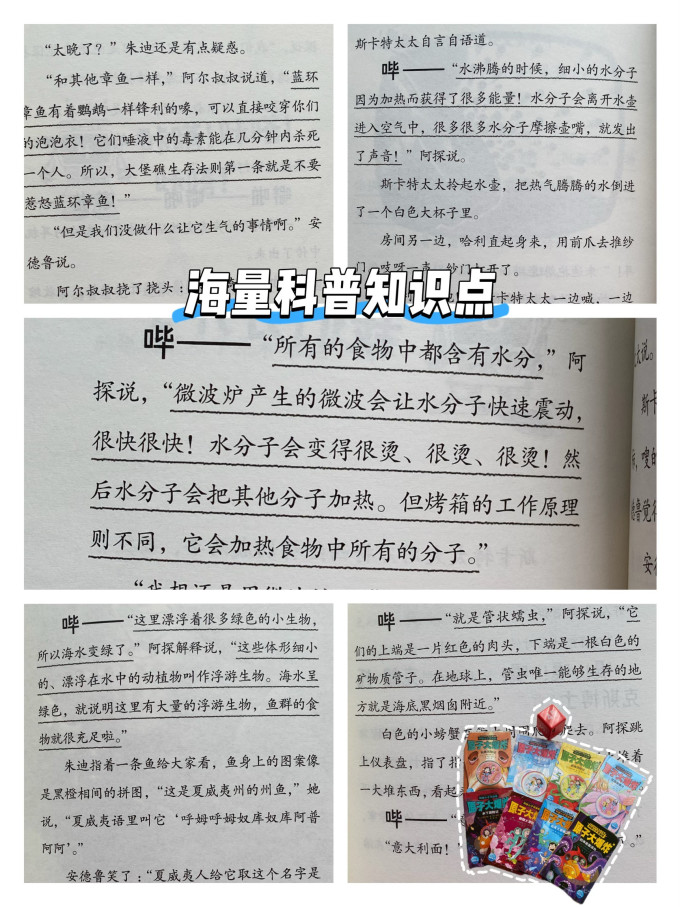 海豚传媒科普/百科