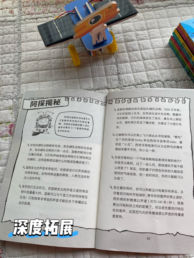 海豚传媒科普/百科