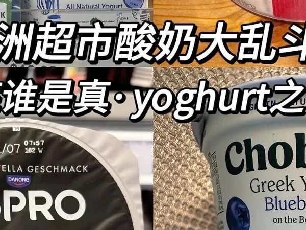 酸奶老吃家｜实测澳洲酸奶🤓