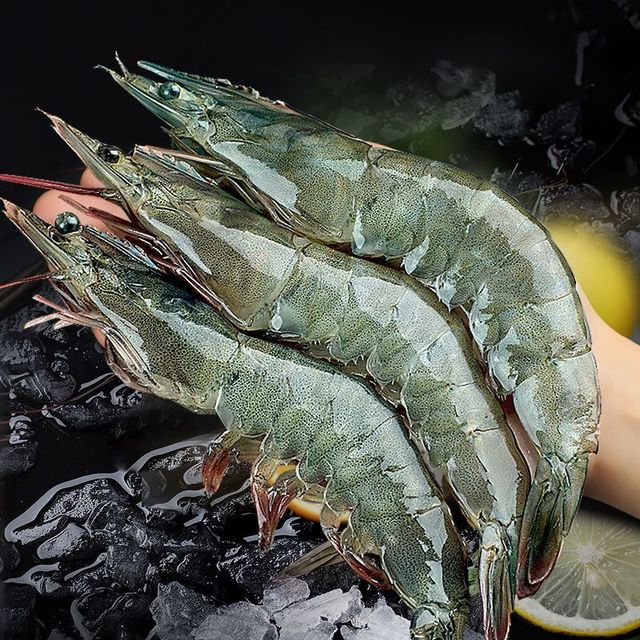 双11海鲜囤货赢麻了！东上御品气冻虾鲜到犯规