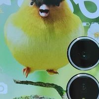 小米MIX Flip2上手!这才是小折叠该有的样子