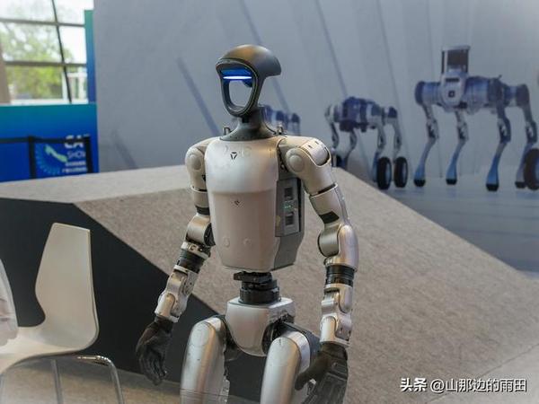 具身智能机器人：科技浪潮中的璀璨新星