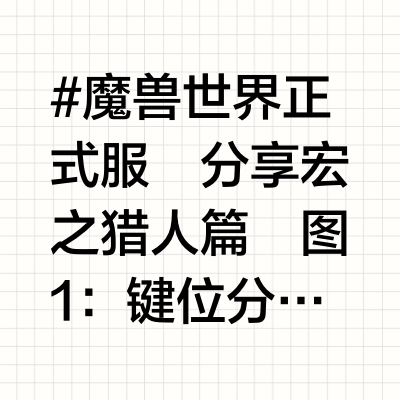 魔兽世界正式服 宏