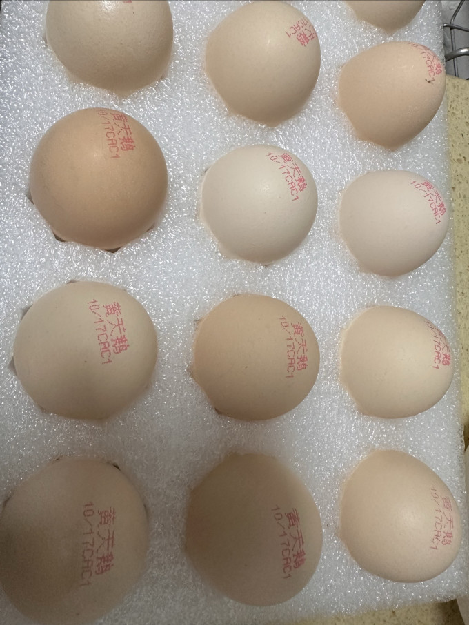 禽蛋肉类