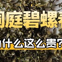 洞庭碧螺春为什么这么贵？有哪些值得推荐的品牌？