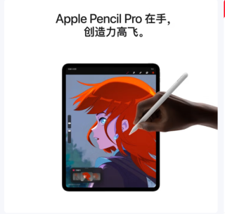 2025年新款苹果iPad Pro 13英寸，搭载M5芯片
