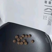 出差再也不担心猫主子饿肚子！小佩AI喂食器太懂养宠人了
