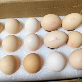 我家餐桌上的“钉子户”，闭眼回购的1号店可生食鸡蛋！