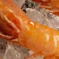 双十一美食选购指南：牡丹虾好价囤鲜攻略