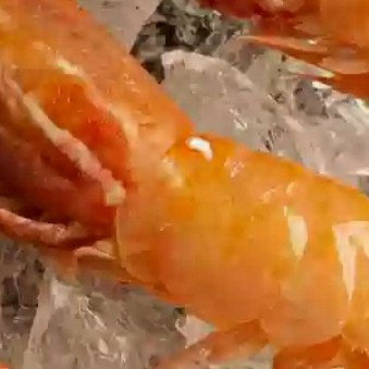 双十一美食选购指南：牡丹虾好价囤鲜攻略