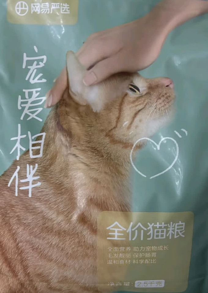 网易严选猫咪干粮