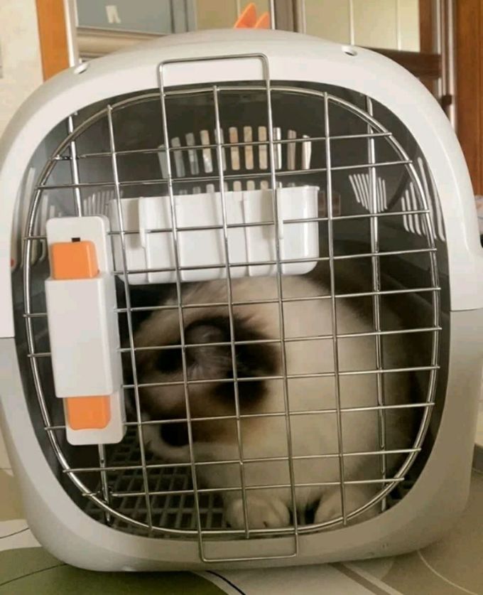 华元宠具宠物航空箱