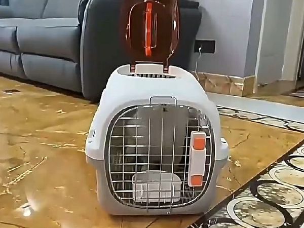 宠物航空箱实用性评测