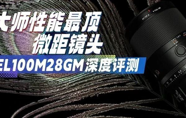 G大师性能最顶微距镜头 索尼SEL100M28GM深度评测