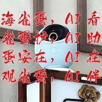 卿本谪仙乱入红尘杂货铺 篇零：告别繁琐操作！华为海雀雀蛋Pro摄像头听话摄像头语音操控超省心