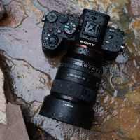 索尼A7M5 vs 佳能R6 Mark III?128位用户真实体验告诉你选谁