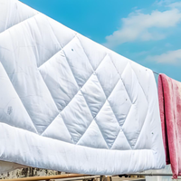 床品被子的清洁除螨其实更关键—新手跟着做绝不翻车！