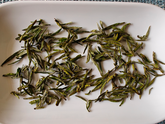 北纬二十一绿茶