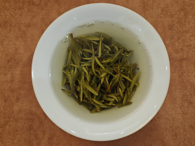 北纬二十一绿茶