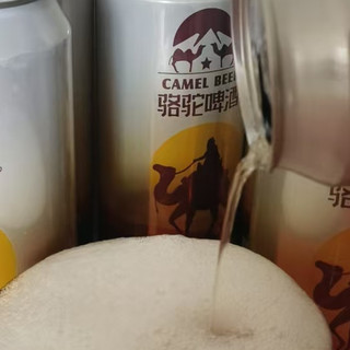 聚会啤酒选哪家？这3款骆驼啤酒强烈推荐！