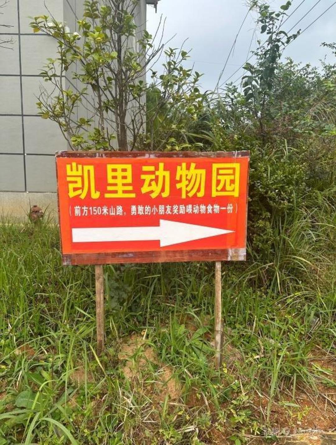 凯里深山动物园:七旬老人独守20元门票的动物乌托邦