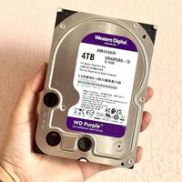 海康4T紫盘现在入手值不值?全网用户观点大PK