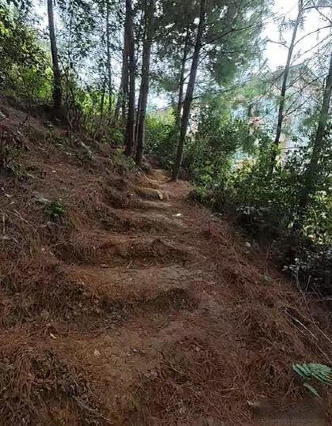 凯里深山动物园:七旬老人独守20元门票的动物乌托邦