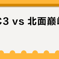 巴塔C3 vs 北面巅峰打底衣？我们汇总了76条真实用户反馈，答案在这