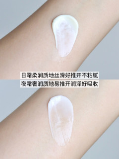 拒绝选择困难！四大日夜霜真实测评！