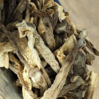 尝一口山间的鲜香，金唐鹿茸菇！