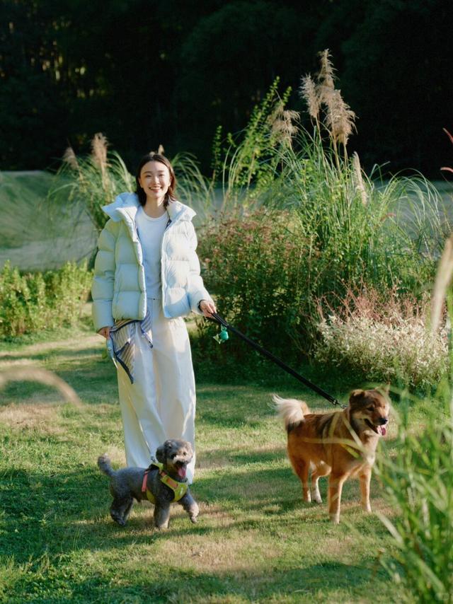 记*被山野和小狗治愈的日子