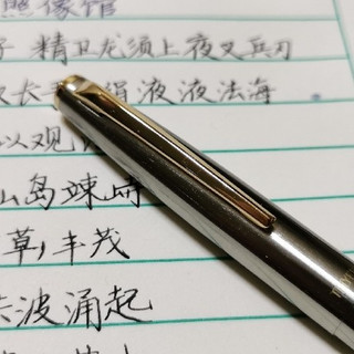 粗粝的精致——赛尔·金戈