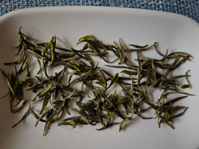 北纬二十一绿茶