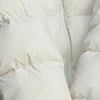 长款羽绒服：冬日温暖的移动堡垒