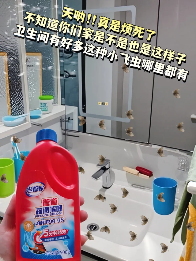被邻居追着问的管道疏通神器终于藏不住了！还在为下水道堵塞烦恼吗？头发缠绕、油脂结块、残渣堆积，每次疏通都让人崩溃？老管家管道疏通剂，堪称家庭疏通界的“救星”！ 
它凭借超强溶解力，无论是厨房水槽顽固的