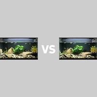 小米智能鱼缸 vs 美的智能鱼缸？32位用户真实体验告诉你答案