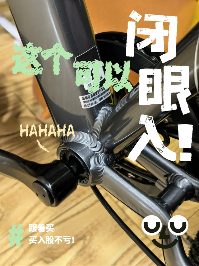 喜德盛北极星pro山地自行车