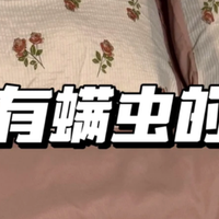 卧室如何除螨？揭秘几种常见除螨方式，学会了轻松告别螨虫！