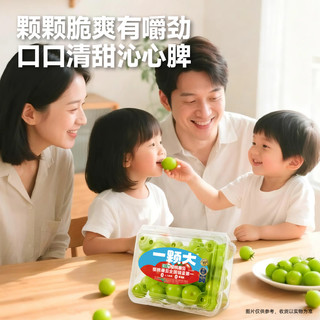 尝鲜报告：绿宝石樱桃番茄，值得入手吗？