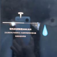 杨天真吐槽特斯拉系统更新打不开车门 只能从后备箱爬进去