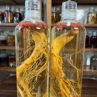 人参怎么吃功效好？看看这些方法！