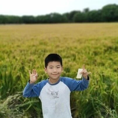 【家园莲心】我的育儿心得：趣味启蒙，开启幼儿数学思维宝盒