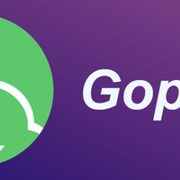 Gopeed开源下载工具值得入手吗？全网用户观点大PK