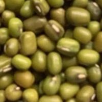 绿豆粥绵密顺滑，美味佳肴