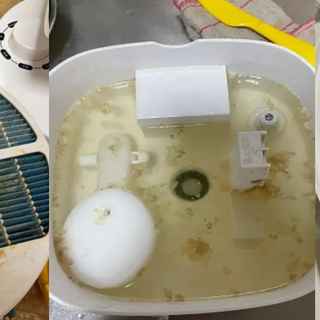 冬季家居经验：您家加湿器水箱里的 “脏”，远比您想的更复杂