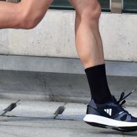 跑步装备季|双十一来了,你都买了什么!?