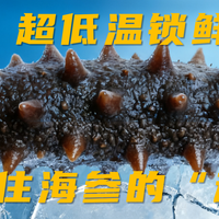 超低温锁鲜，锁住海参的“魂”
