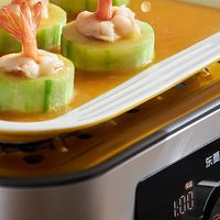 热门电蒸锅排行榜 篇零：有哪些品牌的电蒸锅比较好？我来推荐一款我家每天都在用的这款！