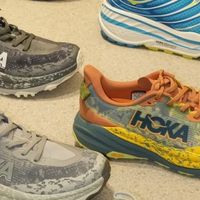 UGG 拖了后腿，HOKA 却凭实力撑起半边天